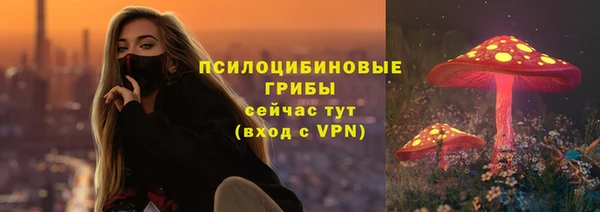 твердый Кодинск