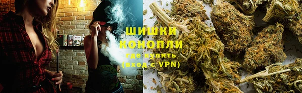 spice Козельск