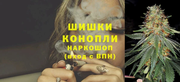 spice Козельск