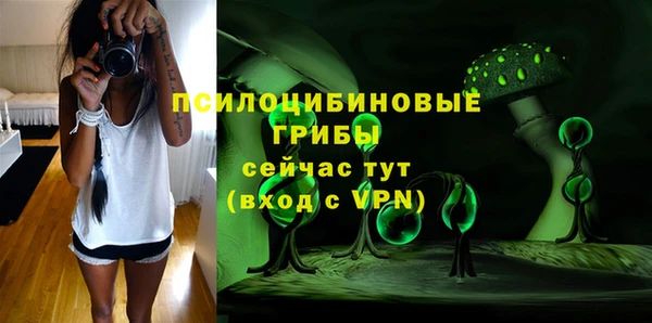 твердый Кодинск