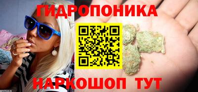 эйфоретик Берёзовский