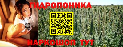 ALPHA PVP Беслан