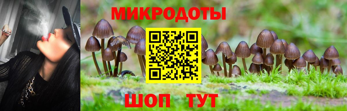 Каспийск  Галлюциногенные грибы прущие грибы  Галлюциногенные грибы GOLDEN TEACHER  Вход с VPN 